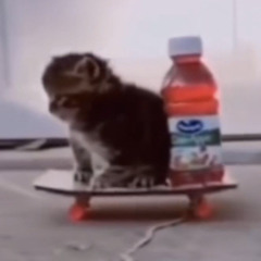 MONTAGEM MIAU HARDSTYLE