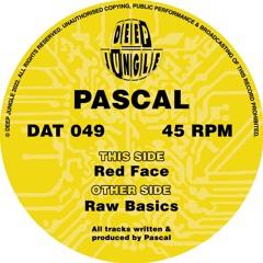 Pascal - Raw Basics [DAT049] clip
