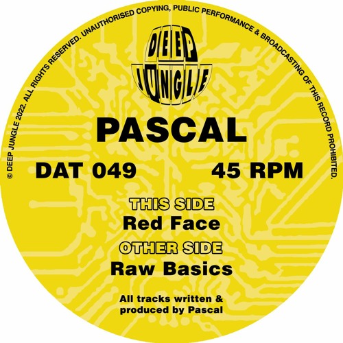 Pascal - Raw Basics [DAT049] clip