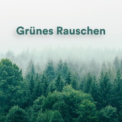 Grünes Rauschen Zum Schlafen