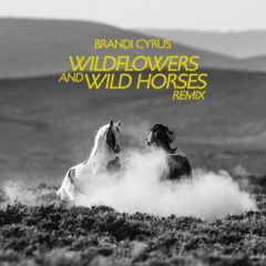 Wildflowers and Wild Horses (Remix) [feat. Lainey Wilson]