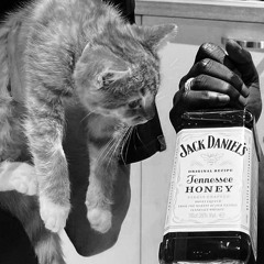 1111 WRLD - STOP LYING TEK (MELØ, ROELAND, BURN)