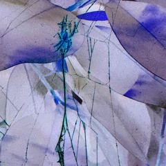Table (prod. yxungkaney)