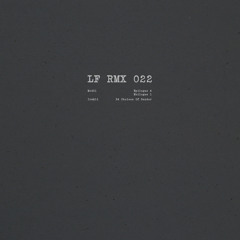 34 Choices Of Gender (Len Faki Hardspace Mix)