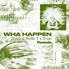 Pinch & Neffa-T x Trim - Wha Happen (K-65 Remix) - Clip