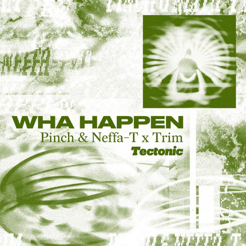 Pinch & Neffa-T x Trim - Wha Happen (K-65 Remix) - Clip