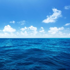 nocturne of the hollow aluminium pilgrim deluged in his own tears