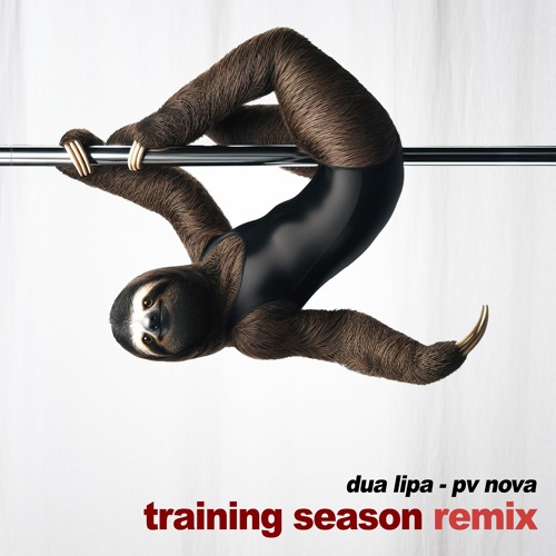 Training Season Instrumental [PV Nova Remix]