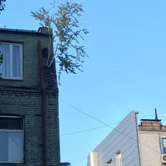 hallobuddha – GOD'S ORDER ( VALLERY )