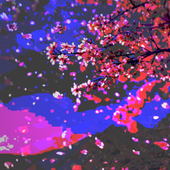 Drifting Petals (naviarhaiku585)