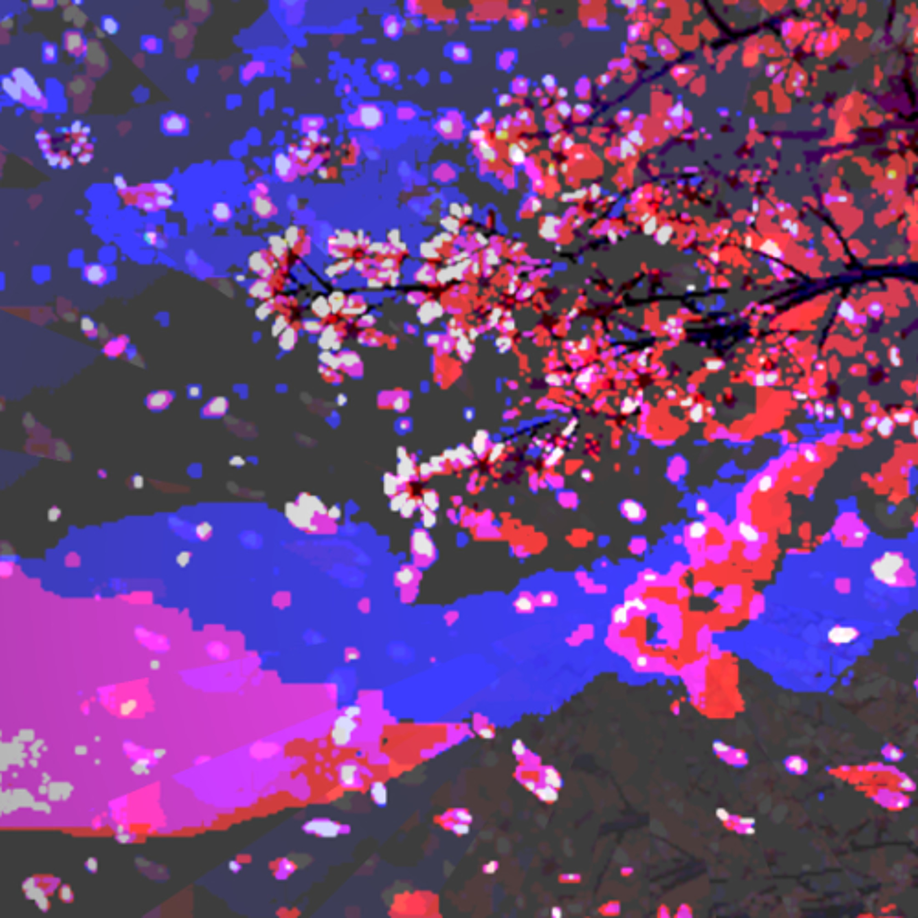 Drifting Petals (naviarhaiku585) episode artwork