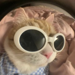 우연이 아니야