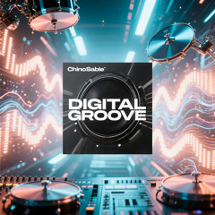 Digital Groove