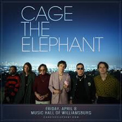 Cage The Elephant EDM Alternative Rock Techno House Tribute