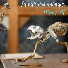 La nuit des animaux