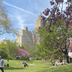 Sick of Losing Soulmates Cover- Sha'uri Denise