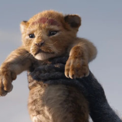 Nant's Circle Of Life (Lion King 2019)