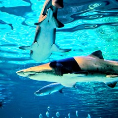 what's left at the end of it all (UNFINISHED MIX)