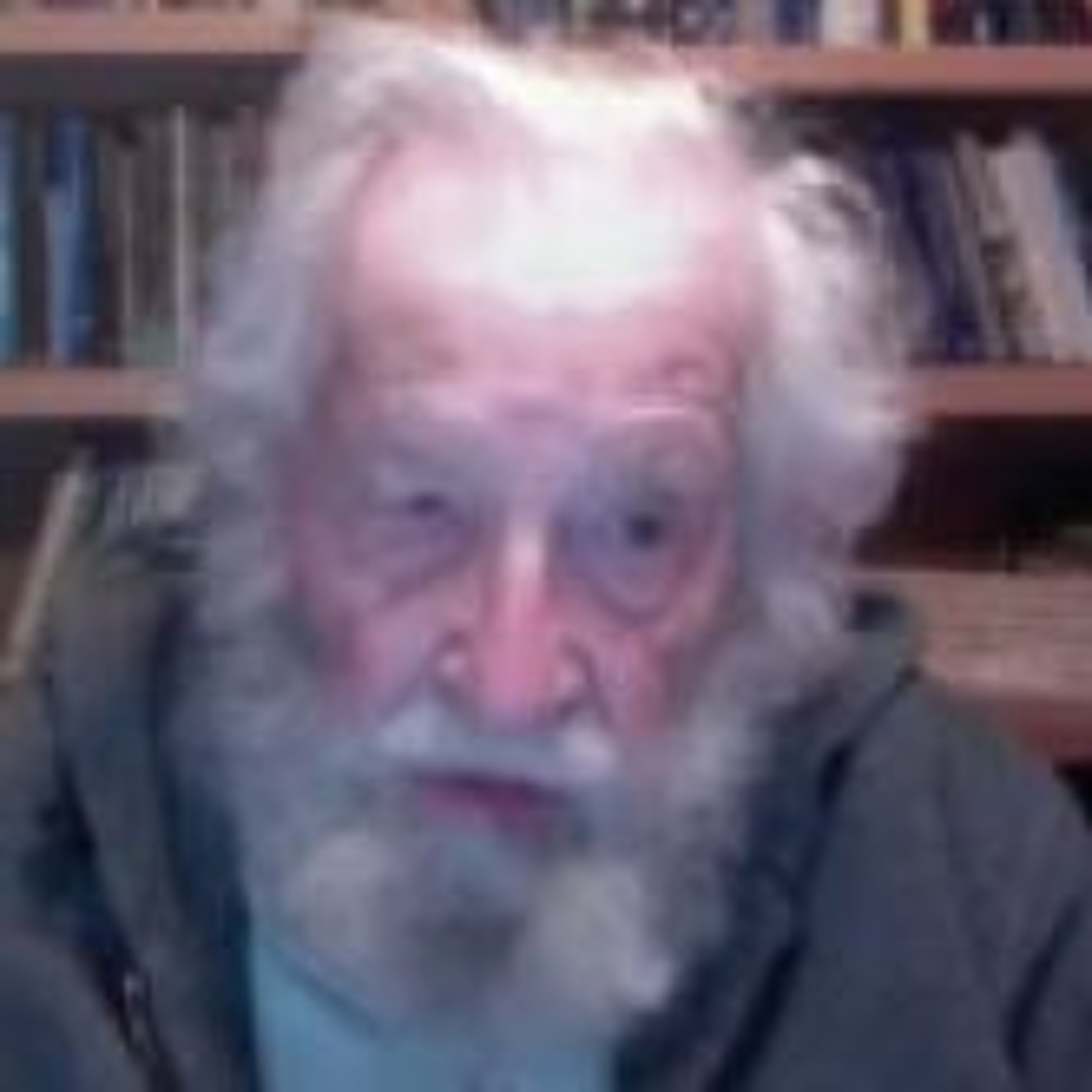 Noam Chomsky: Vote For But Beware Of Biden