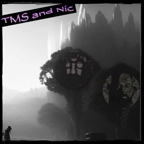 TMS and Nic