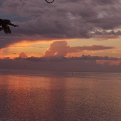 Help me make it through the Night