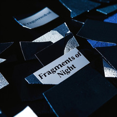 Fragments of Night