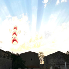 häilyvää  (prod.206)