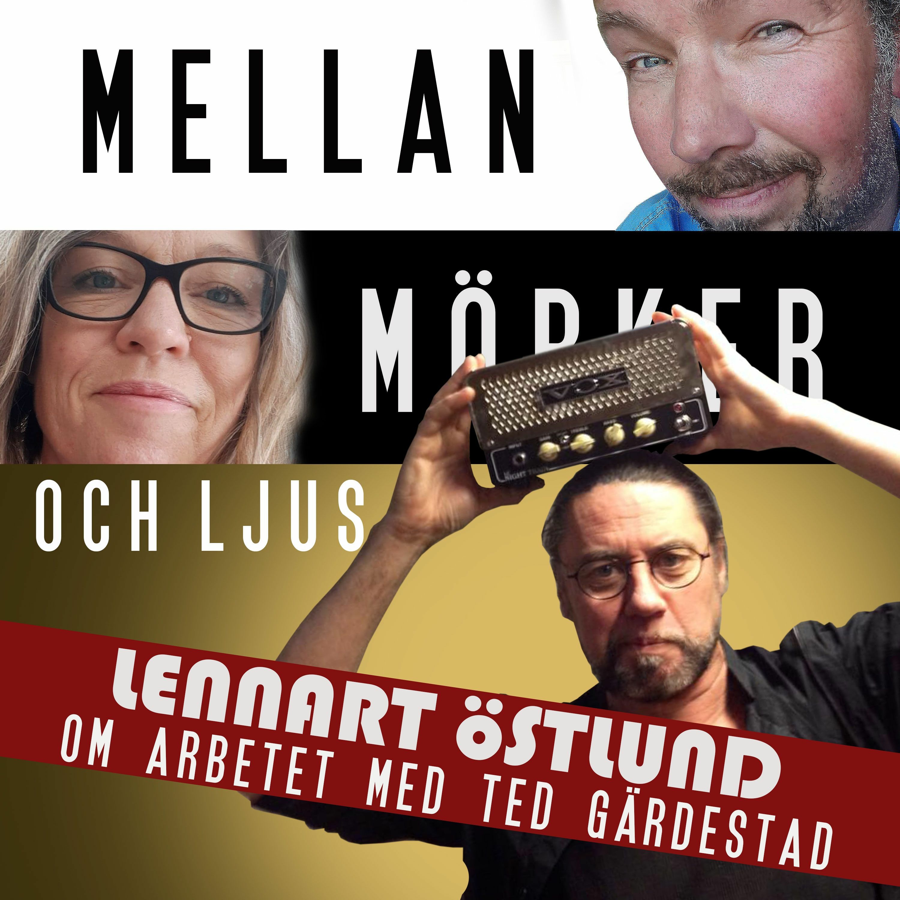 Mellan mörker och ljus