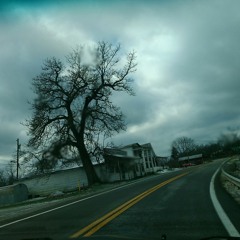 "DeadBeatDadz" ft-Buzzin304