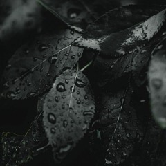 Taaron Ke Shehar Song_ Neha Kakkar_ Sunny Kaushal _ Jubin Nautiyal_Jaani _ Bhushan Kumar _ Arvi