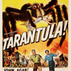 Testament Of The Tarantula PT.1 Prod. Local Beat Plug