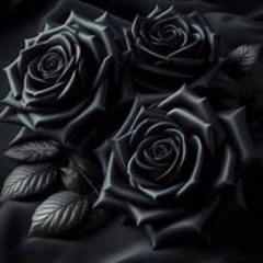 Three Black Roses.wav