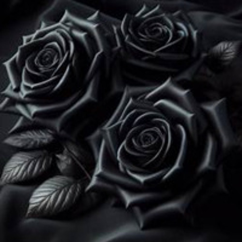 Three Black Roses.wav