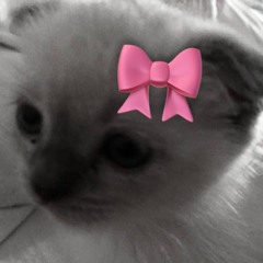 silly_kitty.mp3