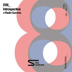⠂ TIN NARVAR - INTROSPECTIVΞ 08 (essentials x Radio Gamma)