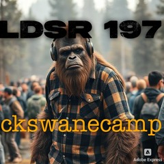 LDSR 197 -ckswanecamp