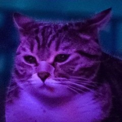 Yürek Kuşatması -Remix-