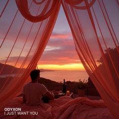 I Just Want You