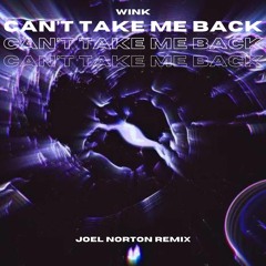 WINK - CAN'T TAKE BACK (Joel Norton Flip)