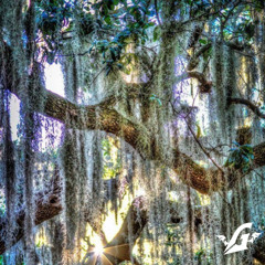 Of The Trees X Childish Gambino - Do Ya Like Spanish Moss? (Ghidorah Edit)