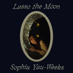 Lasso The Moon
