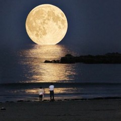 Dancing In The Moon Light - (King Harvest Cover)