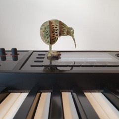 The Kiwi and the Kakapo