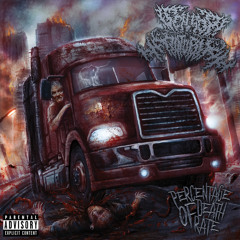 Accidental Head Transposition