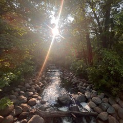 letter to Ione      @prodneverforever