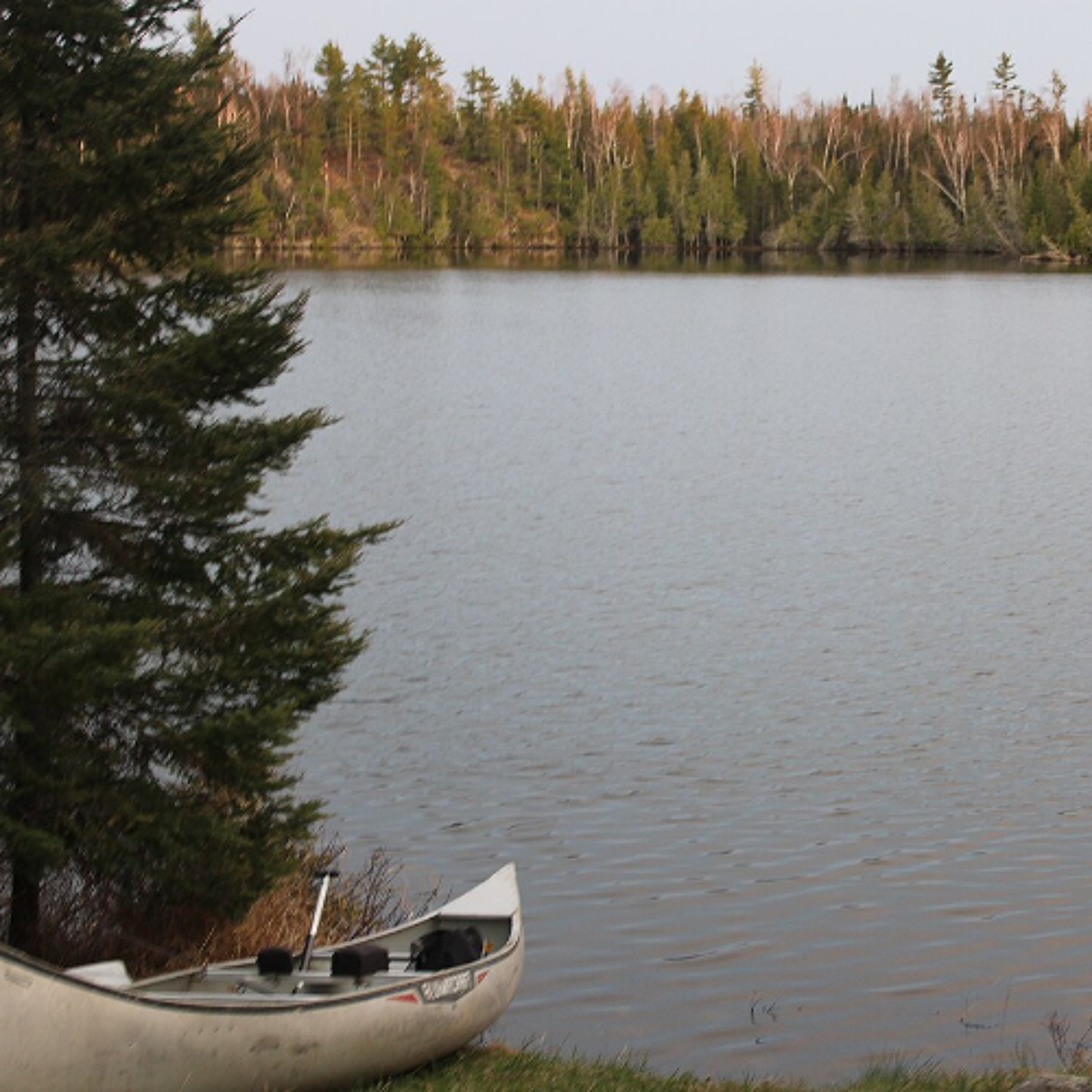 Feds Remove Protections for Boundary Waters,  Roadless Areas