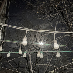 gelados