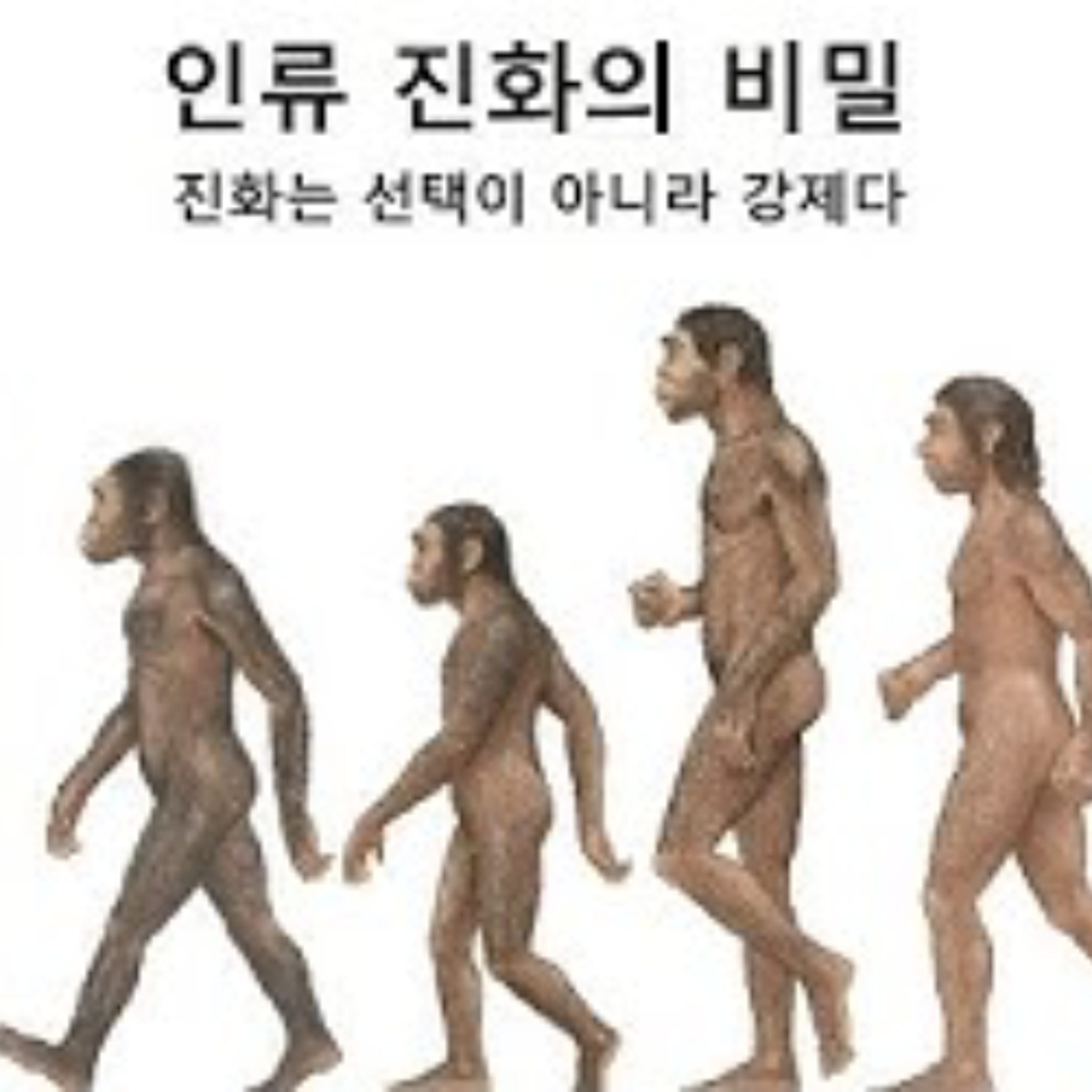 2026-02-22 구조론 111회, 인류 진화의 비밀, 인생의 의미