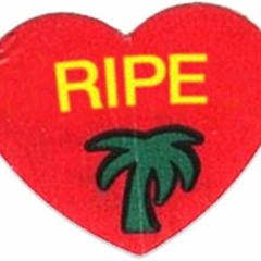 Ripe Radio - 19.2.21 // Nite School feat. Jase Jeffery