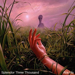 Splendor Three Thousand (Produced By Ace Ha)